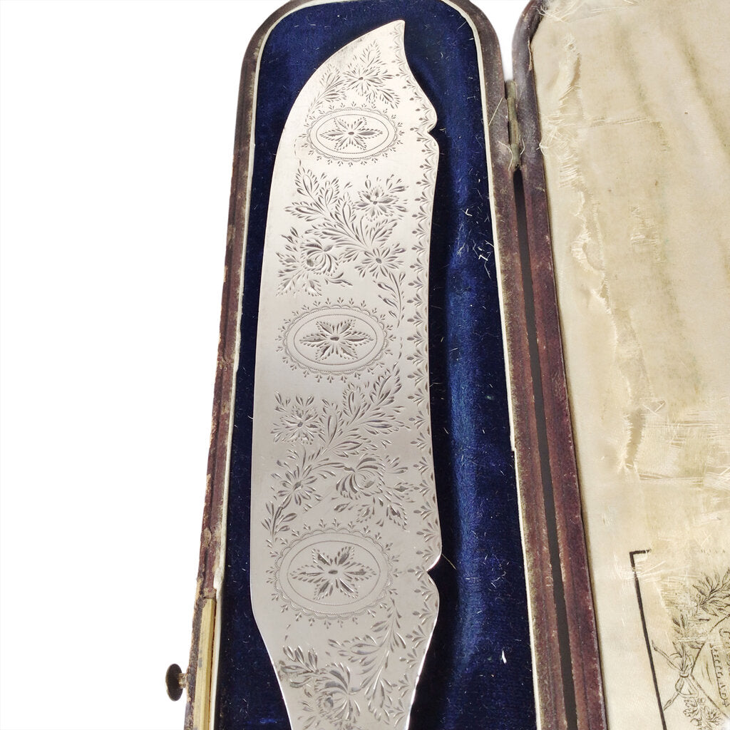 Bailey & Co. Coin Silver Fish Slice & Original Box, ca. 1860