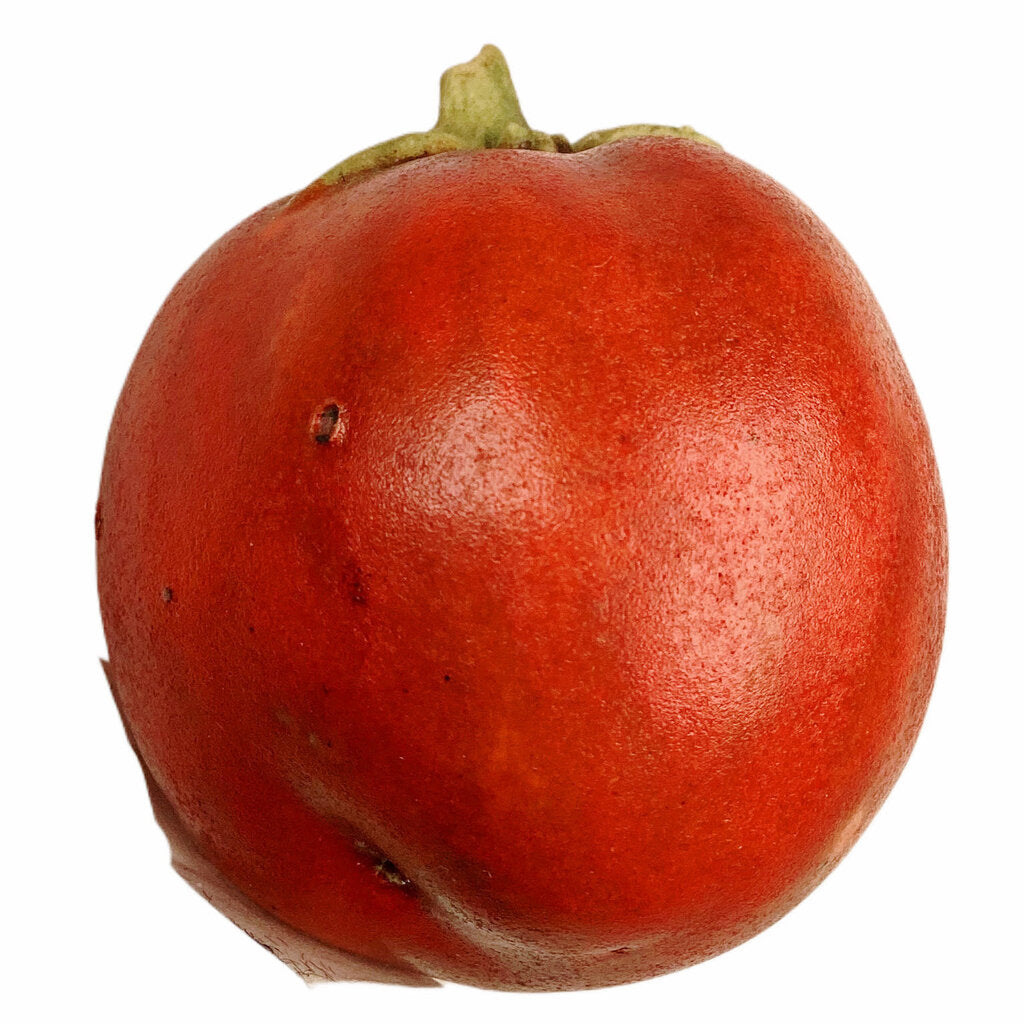Mary Kirk Kelly Porcelain Tomato