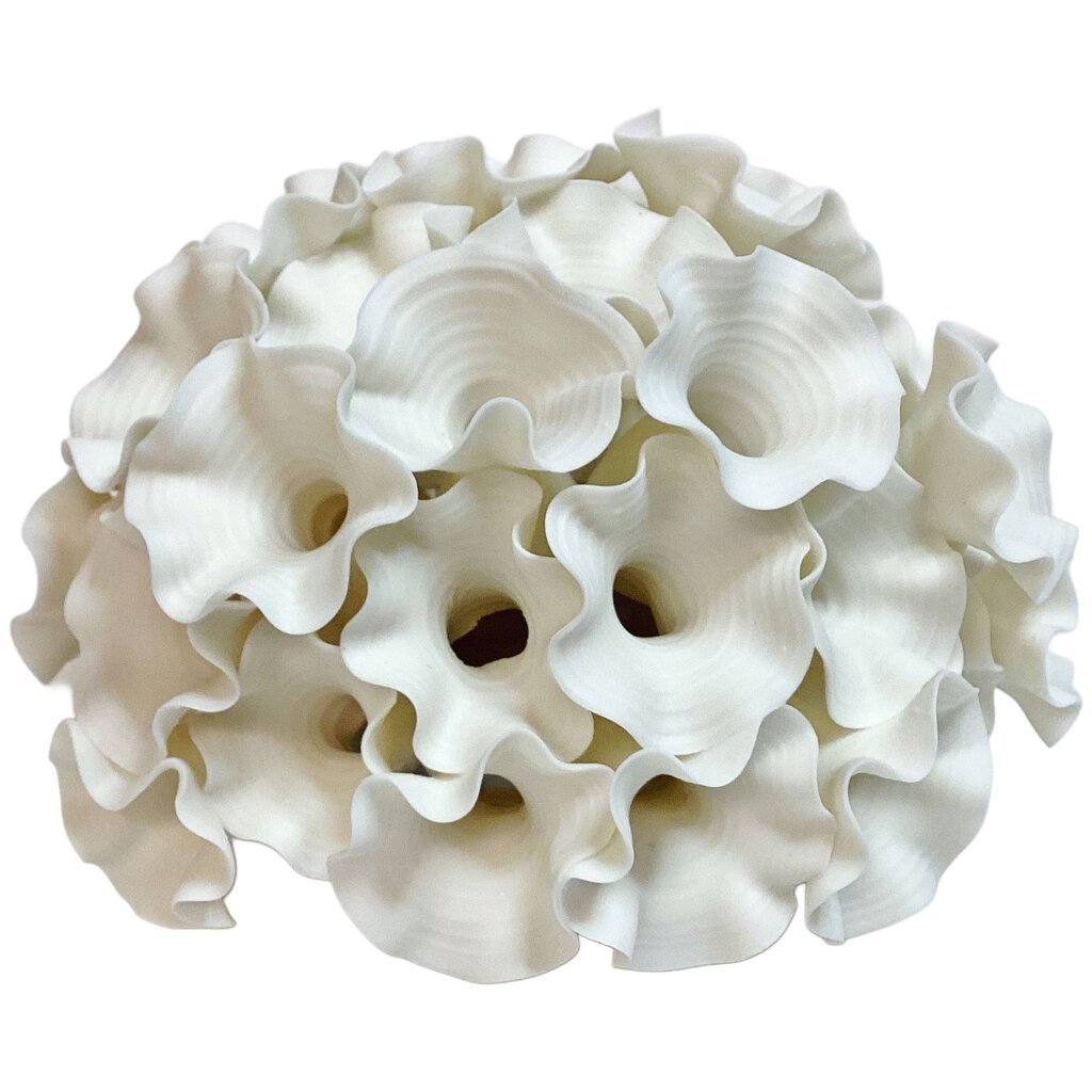Lilach Lotan. Porcelain Coral Reef Tealight