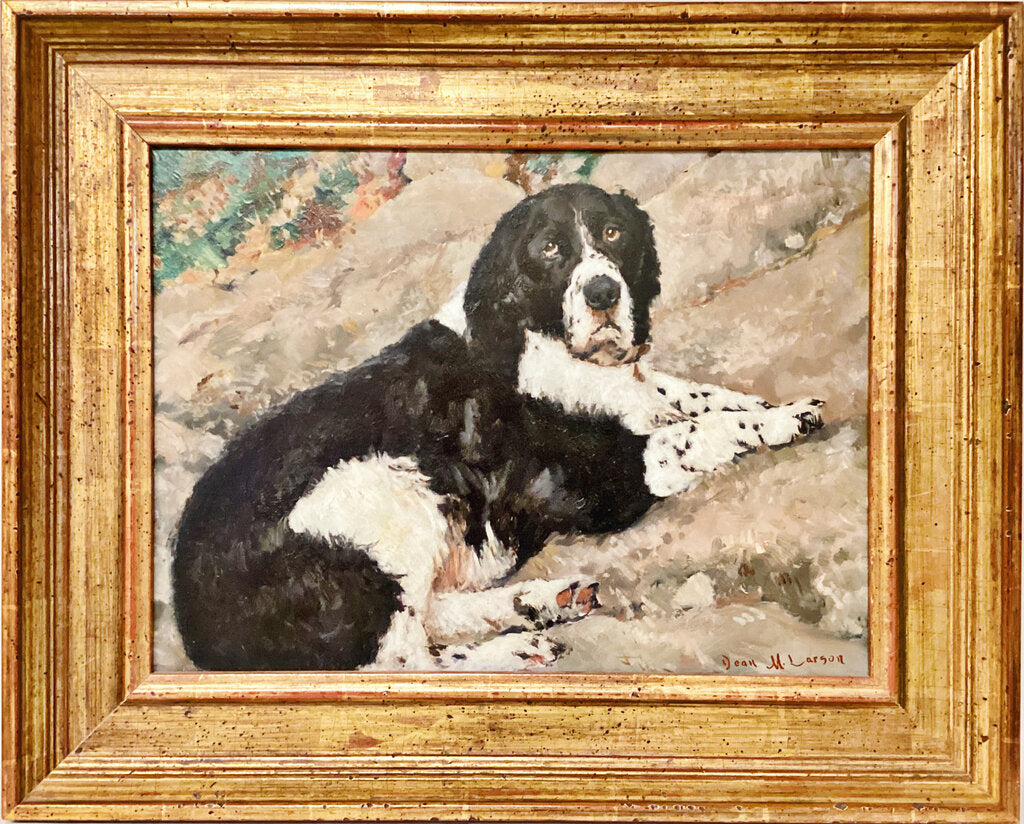 Dean Larson. "Simon" a Springer Spaniel Painting. Oil on Board