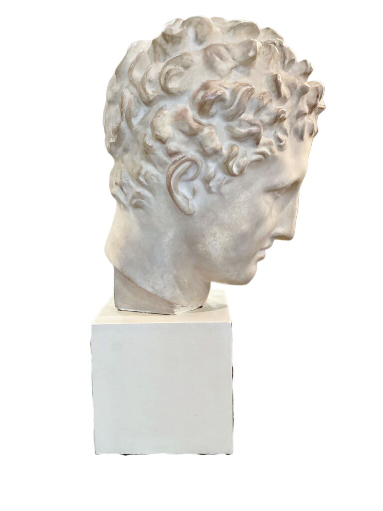 Plaster Bust of Hermes of Praxiteles