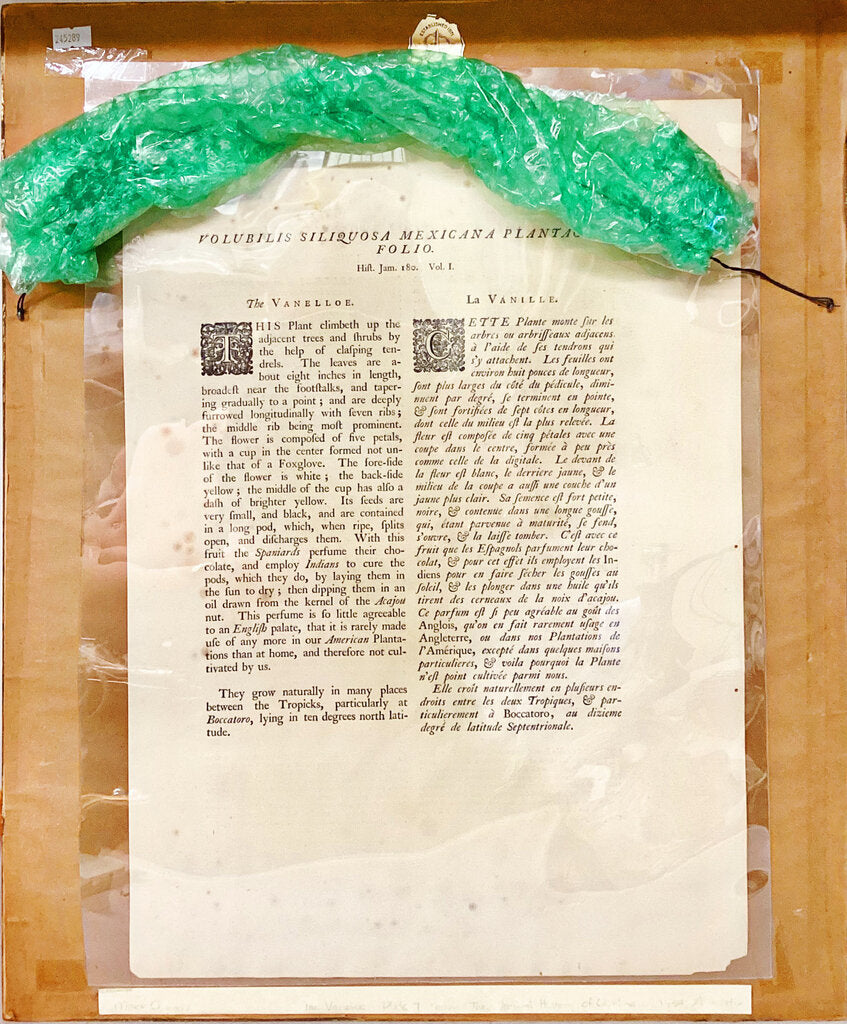 1851. Mark Catesby. The Natural History of Carolina, Florida and the Bahama Islands. Original Print.