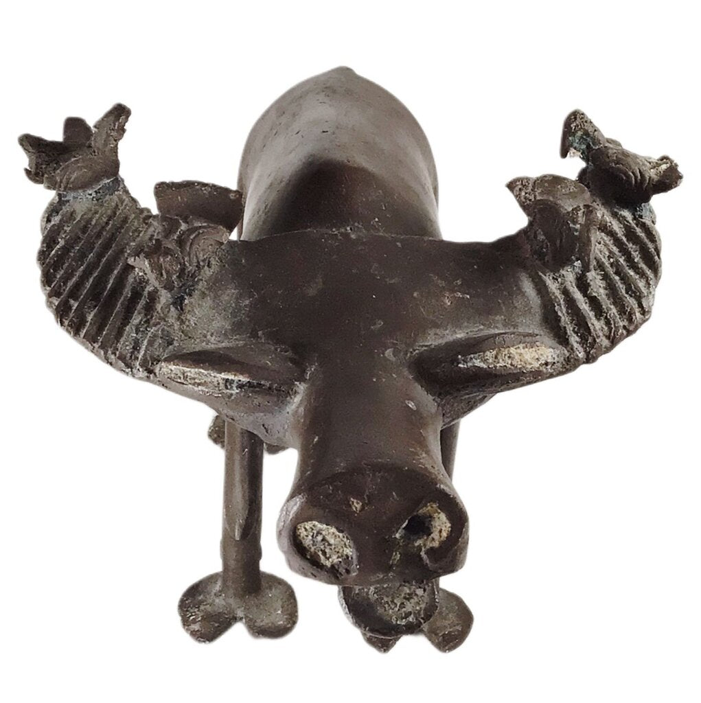 Bronze Water Buffalo w. Oxpecker Birds