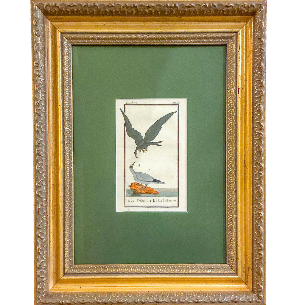 Francois Nicolas Martinet. 18th c. Hand colored Engraving.
