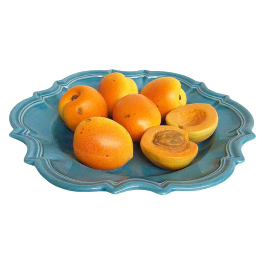 Figueres Apricot Ceramic Wall Plate Marseilles France