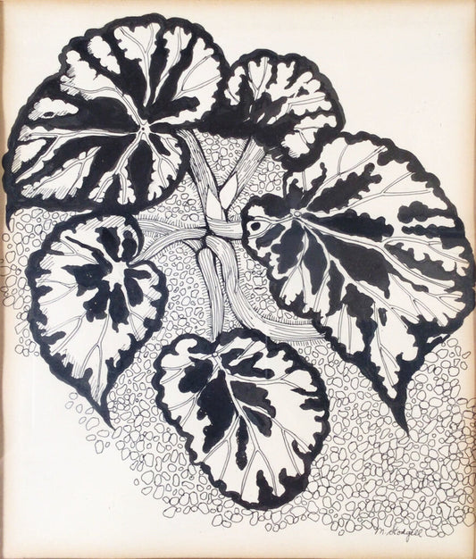 Marjorie Stodgell, Begonia Leaves. Pen & Ink.