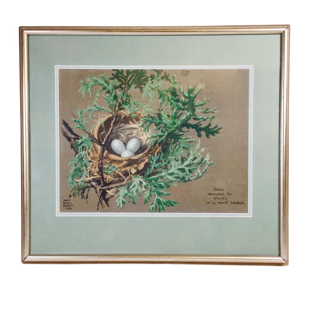 Jacob Bates Abbott, Robin's Nest. Gouache, 1934.