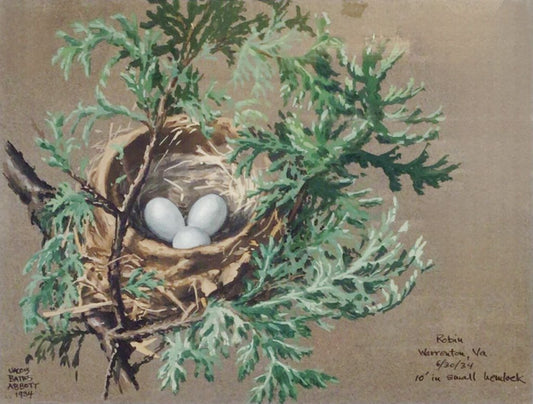 Jacob Bates Abbott, Robin's Nest. Gouache, 1934.