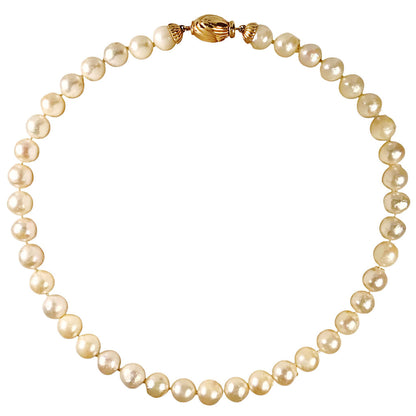 Strand of Ivory Pearls w. 14Kt Gold Clasp