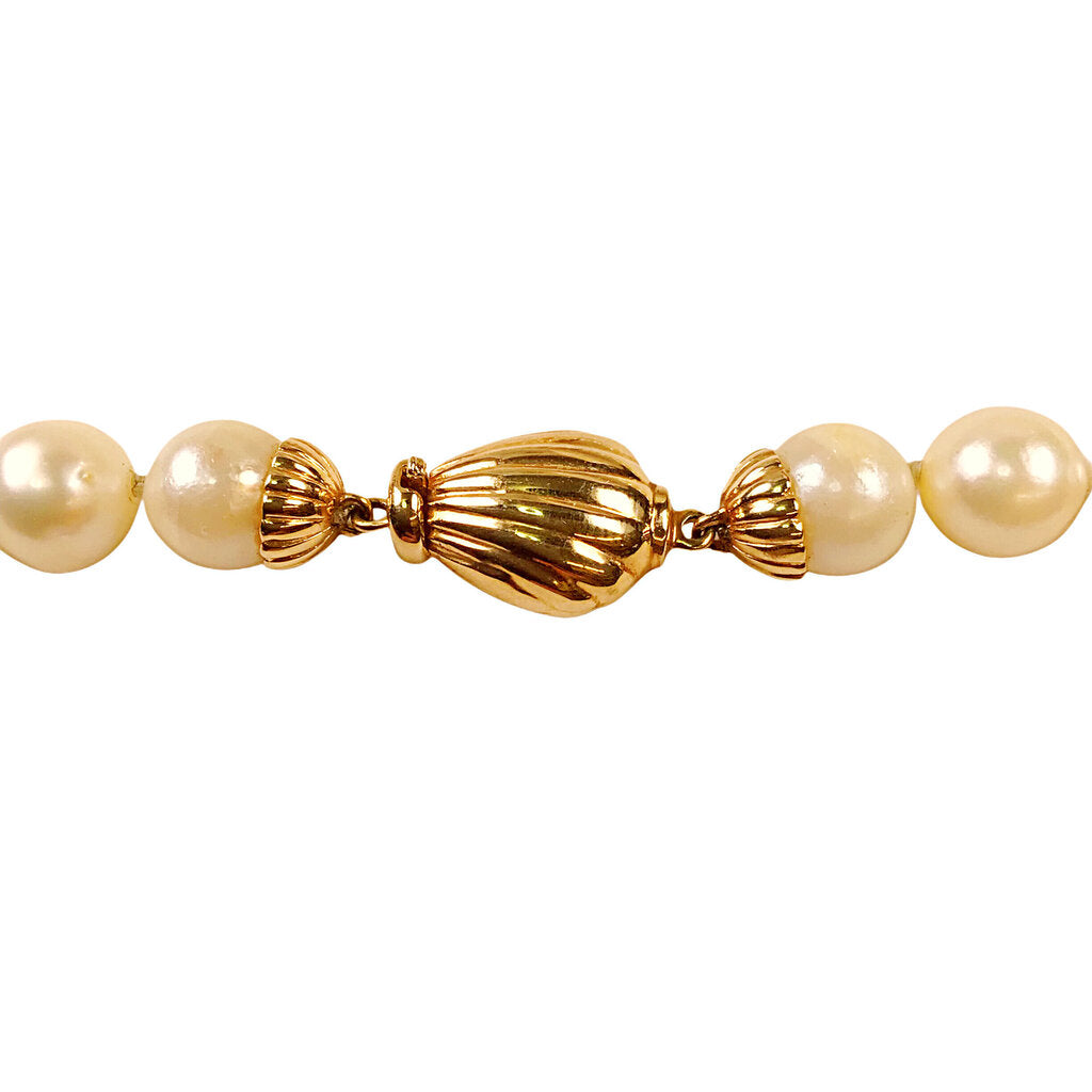 Strand of Ivory Pearls w. 14Kt Gold Clasp