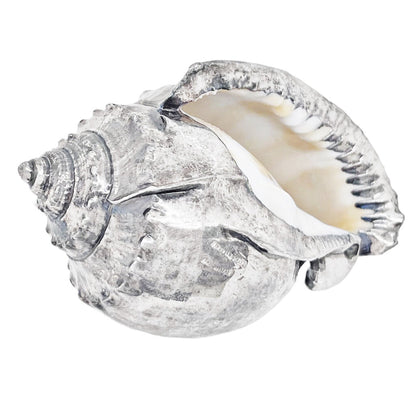 Ruzzetti & Gow Silvered Seashell