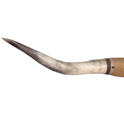 Pair of Mounted Steer Horns