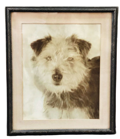 Vintage Winter Terrier Photograph