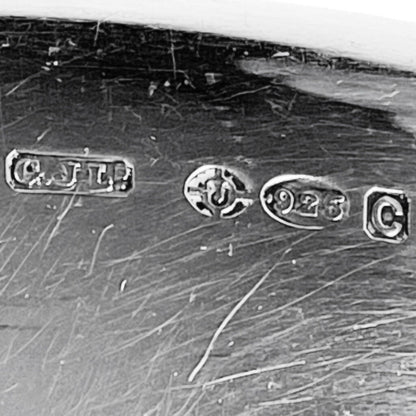 Georg Jensen Sterling "Agave Elsinore" Sterling Serving Fork