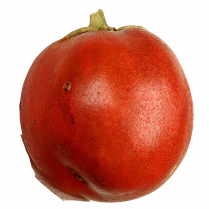 Mary Kirk Kelly Porcelain Tomato