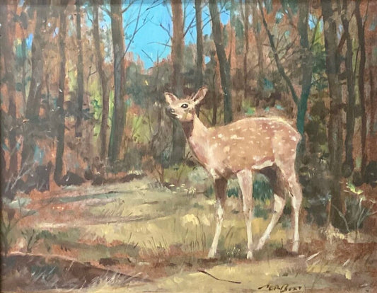 Floyd J. Torbert. "Young Deer". Oil on Board.