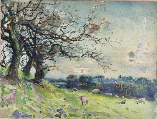 Pastoral Scene w Sheep. Watercolor on Paper. 19th Century English