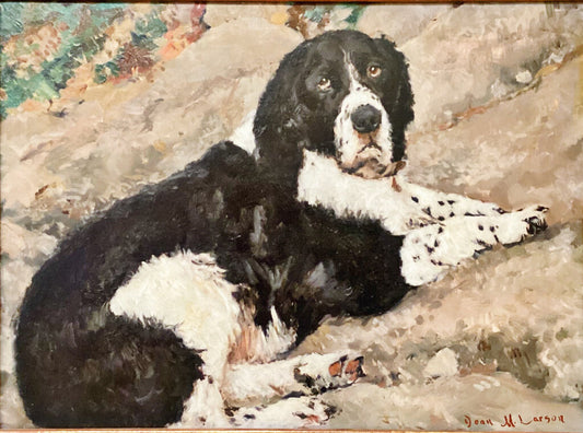 Dean Larson. "Simon" a Springer Spaniel Painting. Oil on Board