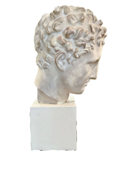Plaster Bust of Hermes of Praxiteles