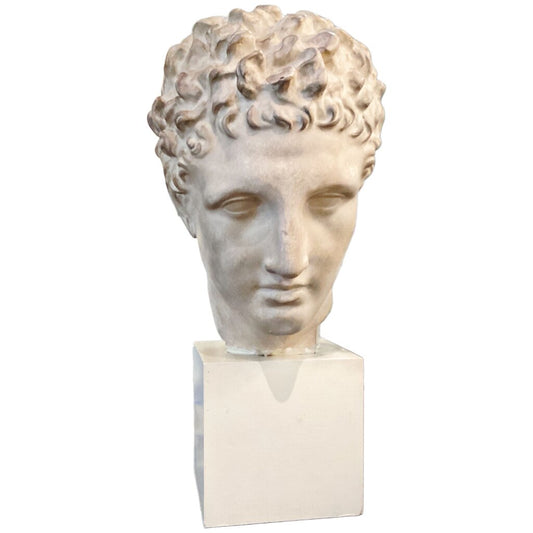 Plaster Bust of Hermes of Praxiteles