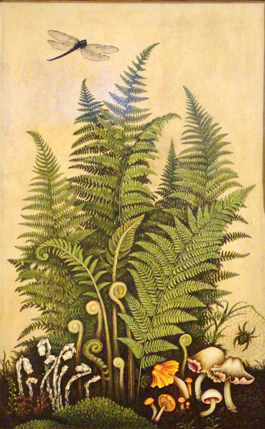 R. Velvet. A Fern Study. Oil on Board.