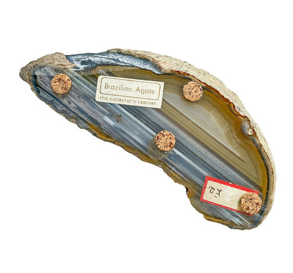 Raw Edge Brazilian Agate Trinket Dish