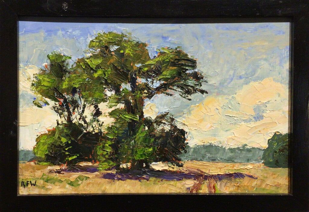 Richard Wyvill. Trees in a Field'. Oil on Board.