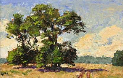 Richard Wyvill. Trees in a Field'. Oil on Board.