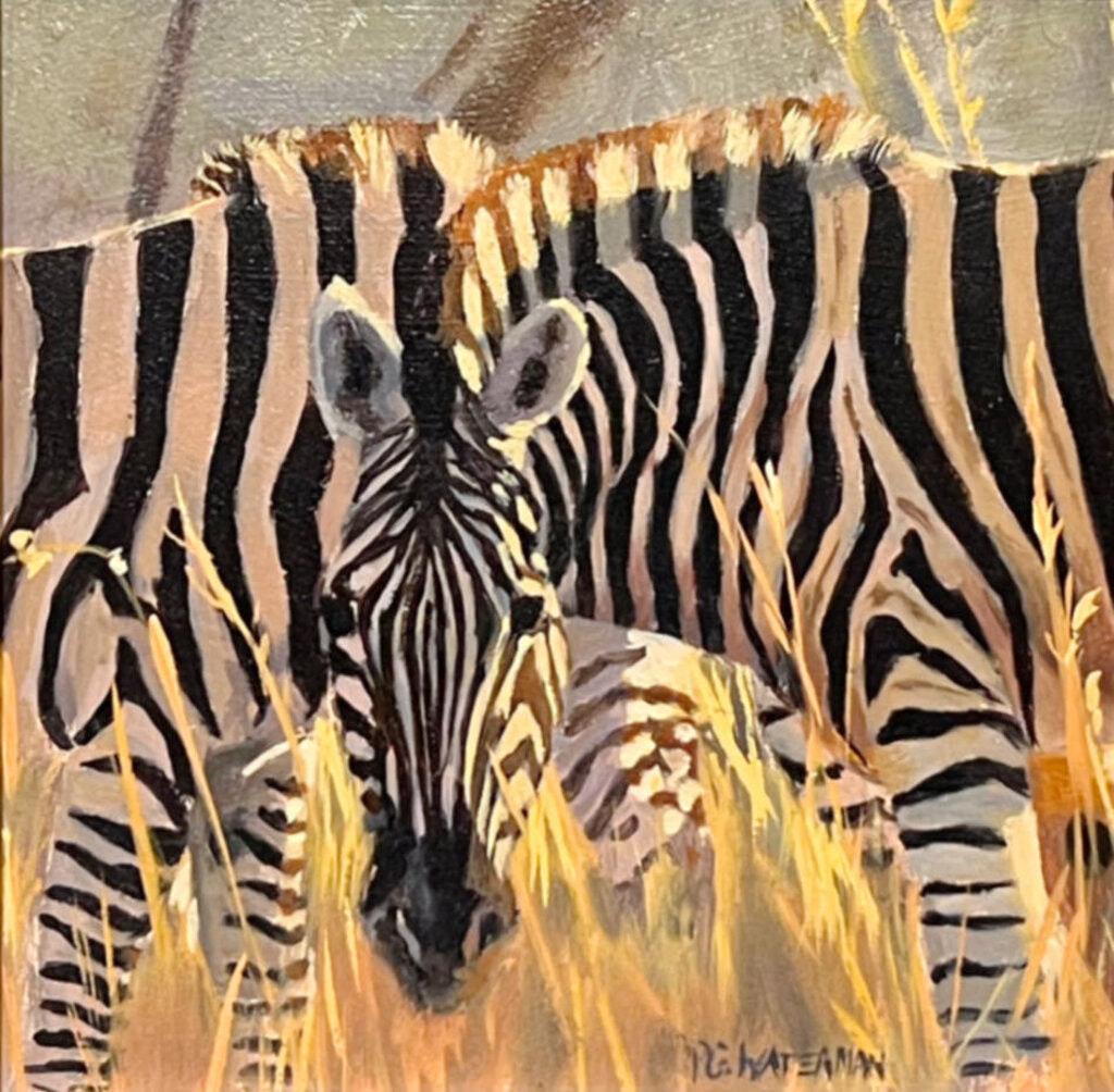 Paula Waterman. Zebras. Oil on Board.