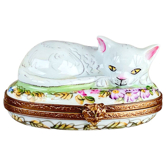 Limoges Observant Cat Hand Painted Box