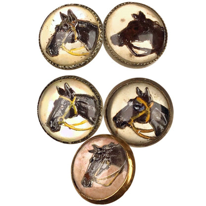 Antique Equestrian (S/5) Buttons