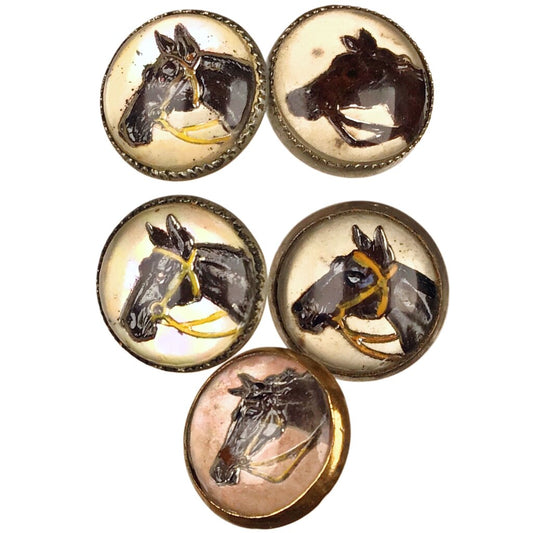 Antique Equestrian (S/5) Buttons