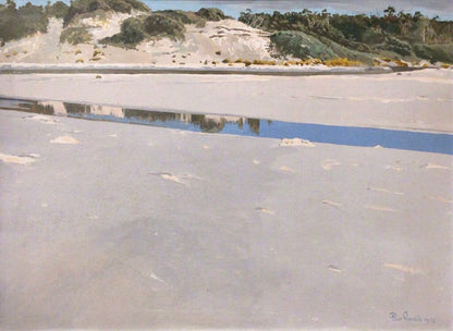 Blair Gamble. Australian Costal Reflections.Oil on Canvas