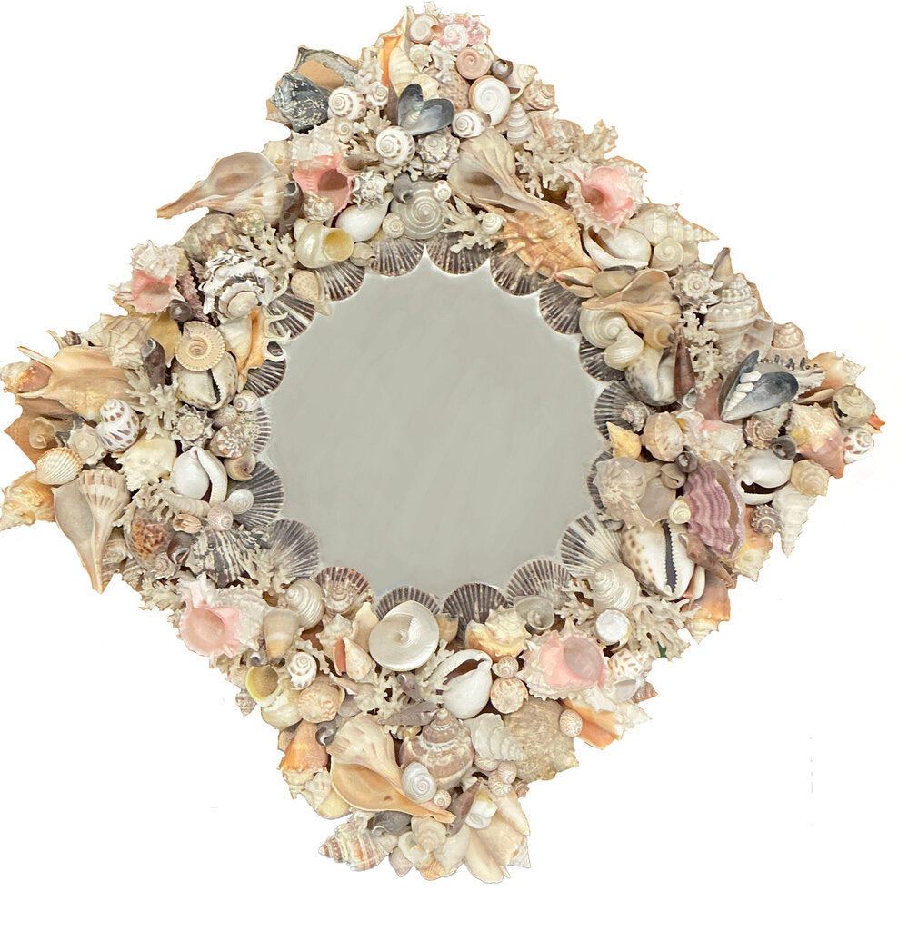 Shell Mirror - Opportunity Shop DC