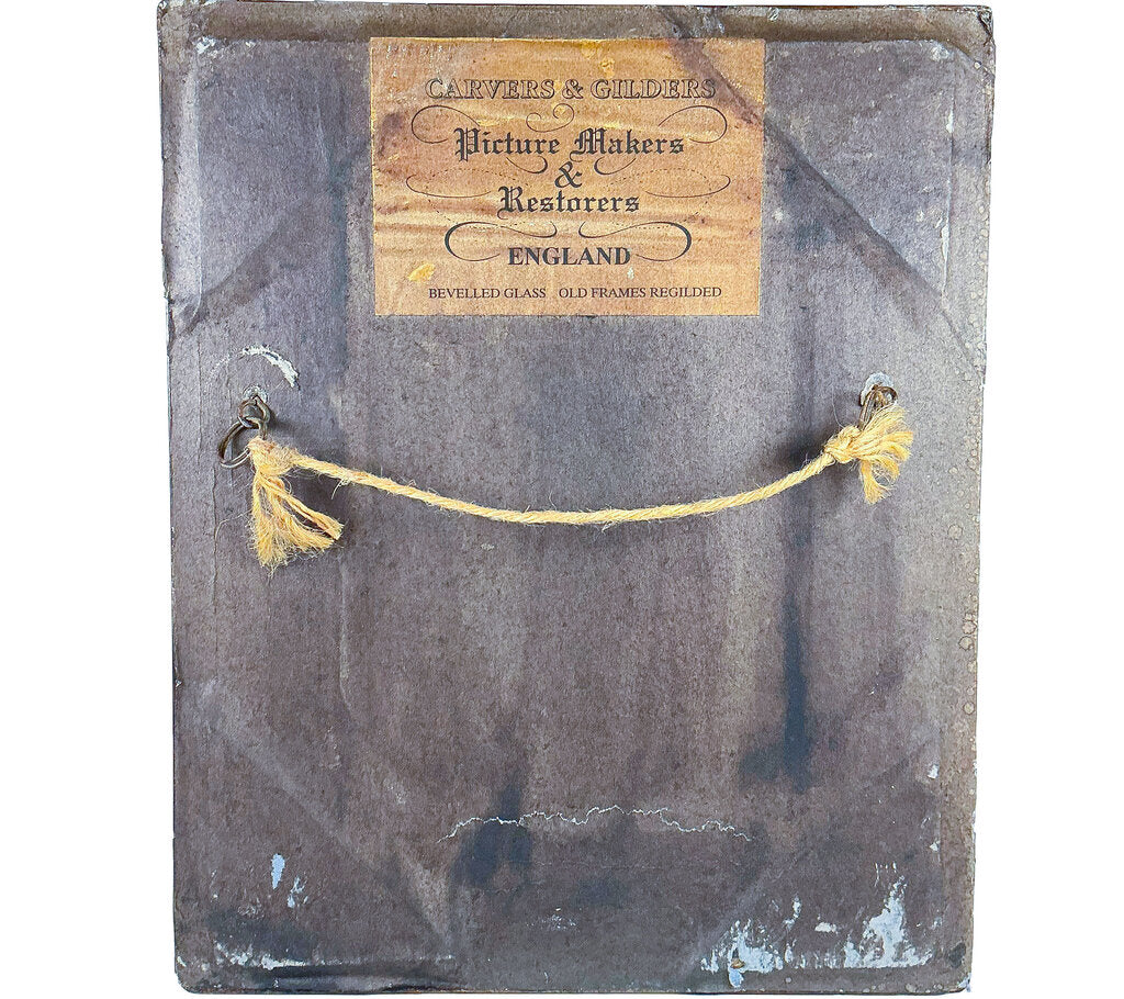 Cat Print in Gilded Frame - Opportunity Shop DC