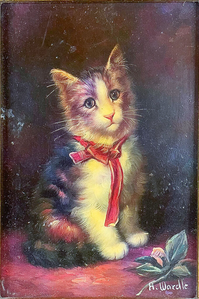 Cat Print in Gilded Frame - Opportunity Shop DC