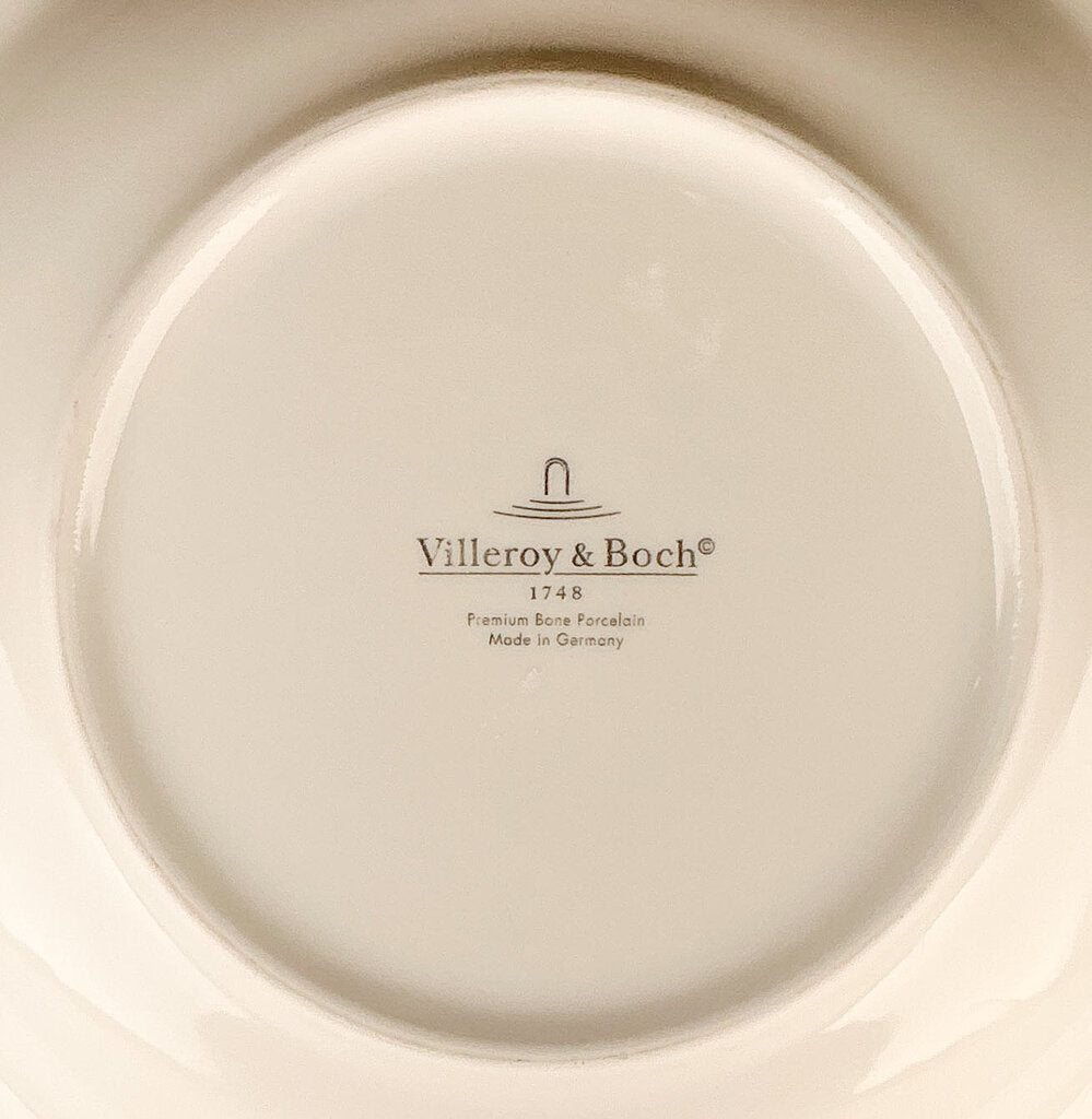 10PC Villeroy & Boch Amazonia Anmut Rim Soup Bowls