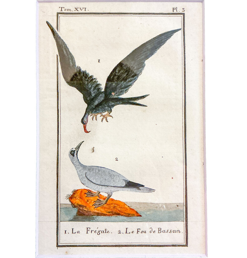 Francois Nicolas Martinet. 18th c. Hand colored Engraving.