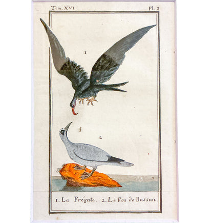 Francois Nicolas Martinet. 18th c. Hand colored Engraving.