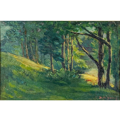 Dorothy Young. Hillside as the Sun Sets. Oil on Board.