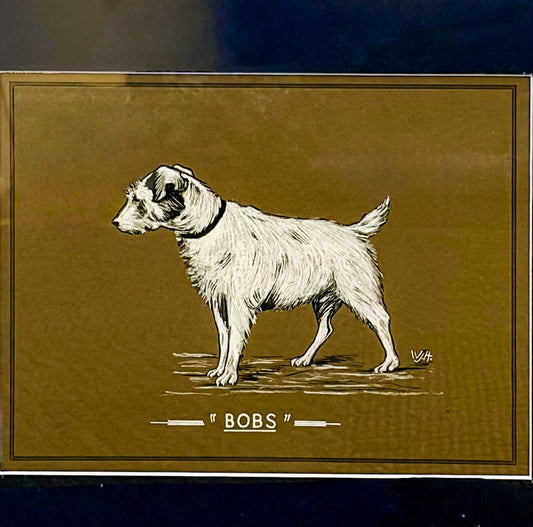 Artist Unknown. Portrait of "Bobs" the Terrier. Original Ink Drawing.