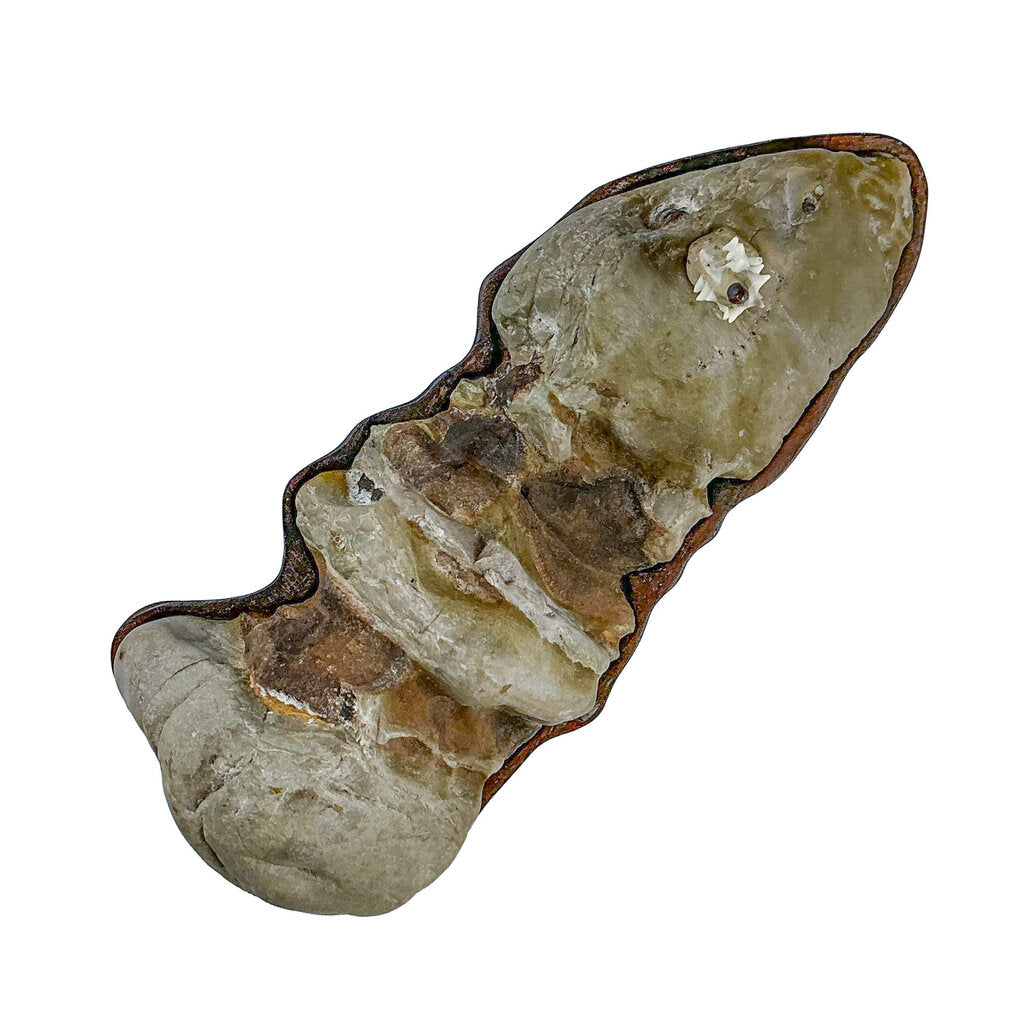 Chinese Suiseki Viewing Stone