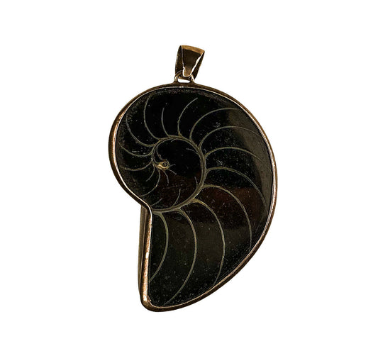 Vntg Sterling Silver Polished Nautilus Shell Pendant