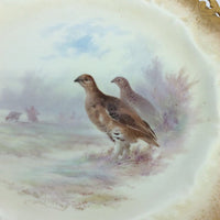 Set of 5 Doulton Burslem Bird Plates Signed