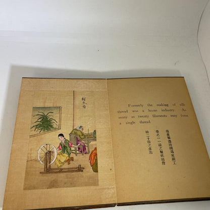 Chinese Hand Painted Book