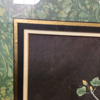 Framed White Candia Aquatint Brookshaw