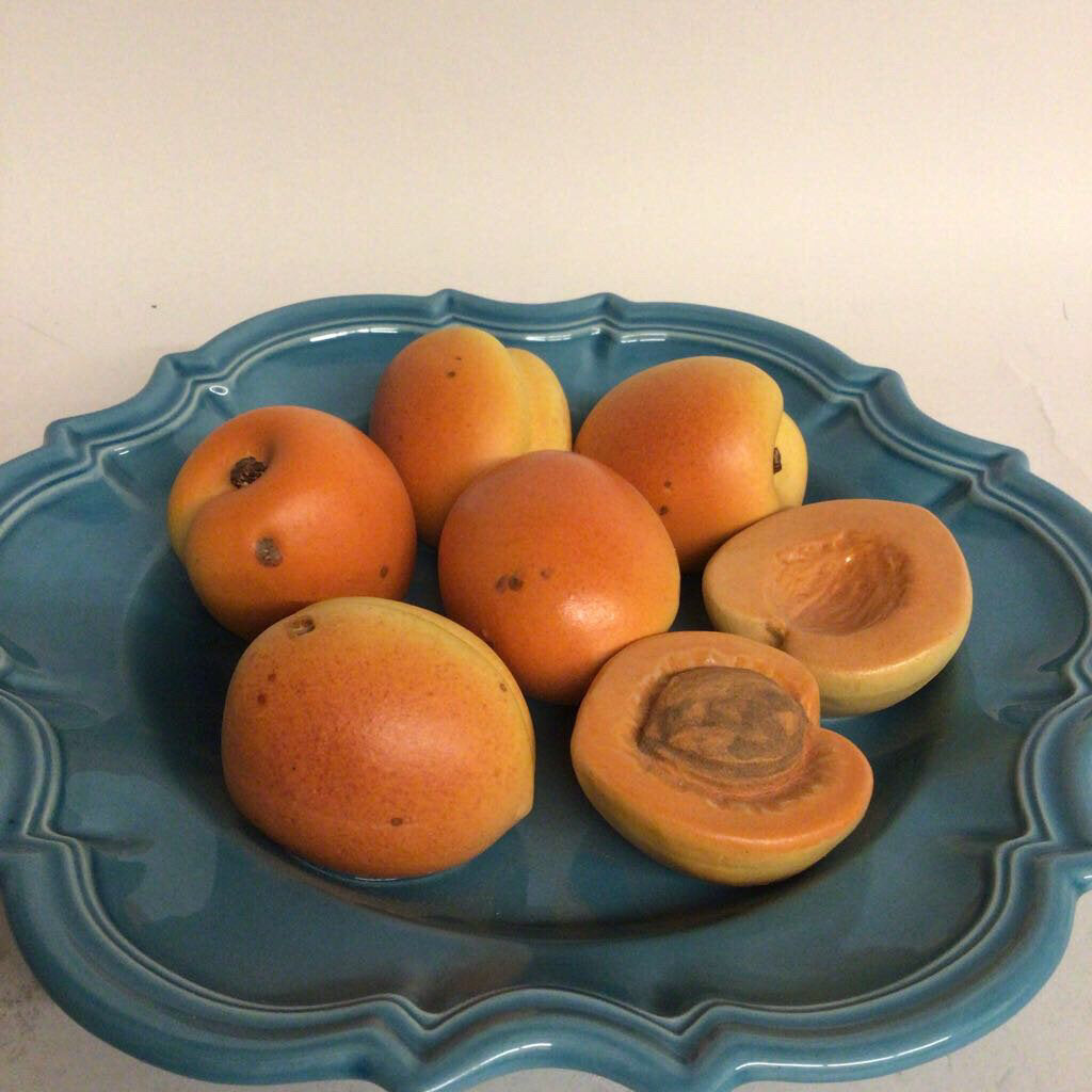 Figueres Apricot Ceramic Wall Plate Marseilles France