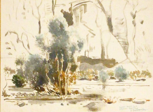 James Guilford (Jimmy) Swinnerton. Smoke Trees in a Desert Canyon. Oil Sketch on Canvas Board.